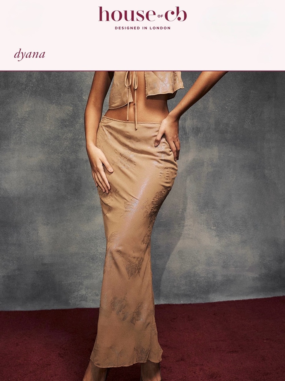 House of CB Dyana Maxi Skirt